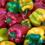 Fiera Nazionale Del Peperone Di Carmagnola 2025: Dieci Giorni Di Sapori, Musica E Eventi In Provincia Di Torino