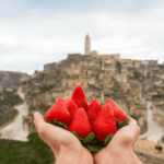 Fragola Matera Chiude La Stagione 2025 Con Una Crescita Del 10% E Punti Vendita In Europa