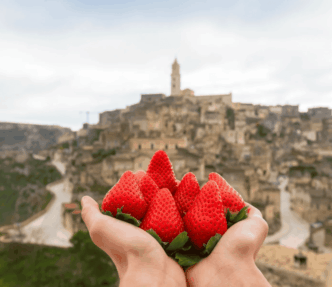 Fragola Matera Chiude La Stagi