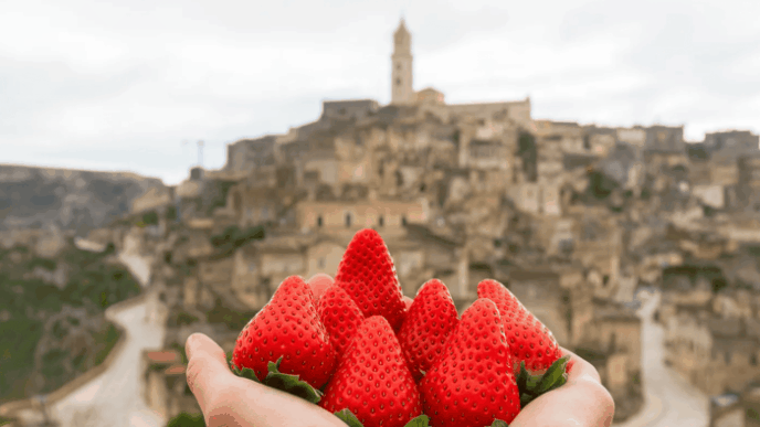Fragola Matera Chiude La Stagi