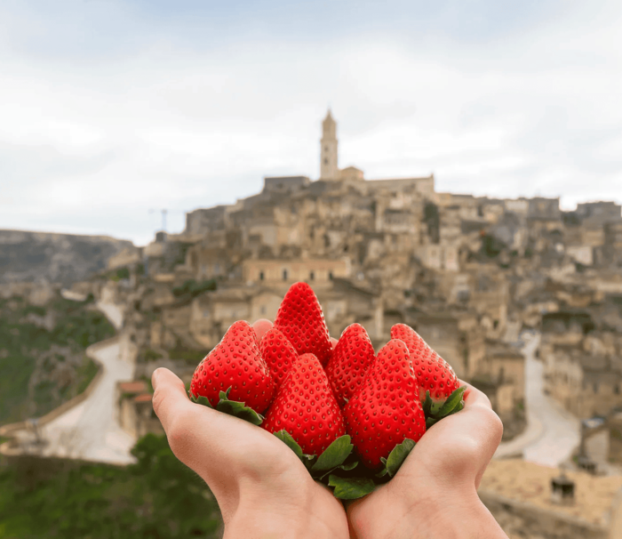 Fragola Matera Chiude La Stagi