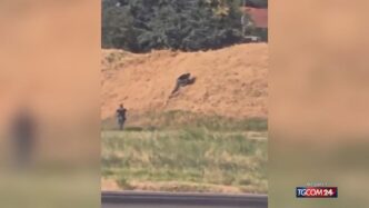 Fuga Da Un Volo Di Linea Alle28099A
