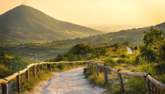 Giornata Mondiale Delle28099Ambient