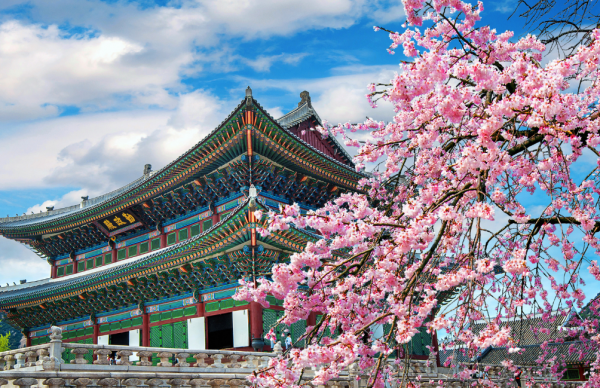 Global Tour Korea Dmc Affida A