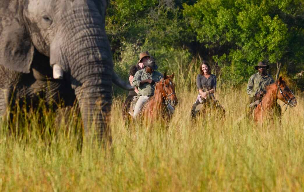 Horse Voyage2C Il Tour Operator