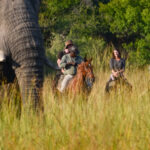 Horse Voyage, Il Tour Operator Per Viaggi A Cavallo Tra Natura E Cultura In Tutto Il Mondo