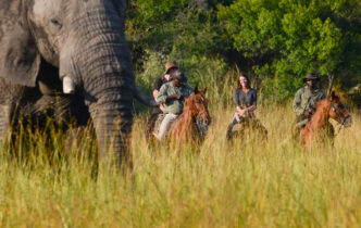 Horse Voyage2C Il Tour Operator