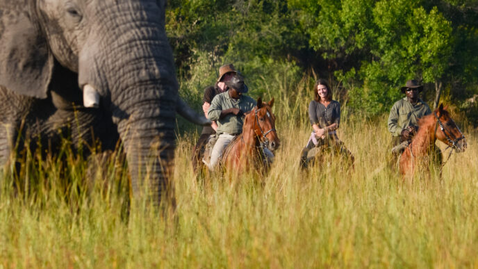 Horse Voyage2C Il Tour Operator