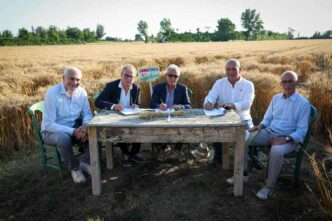 I Campi Caputo2C Grano Nostrum