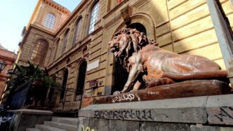 I Leoni Delle28099Accademia Di Bell