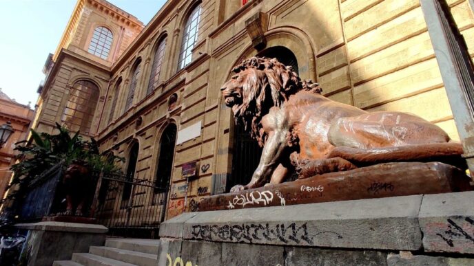 I Leoni Delle28099Accademia Di Bell
