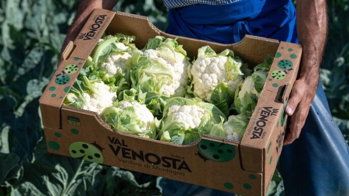 Il Cavolfiore Val Venosta2C Re