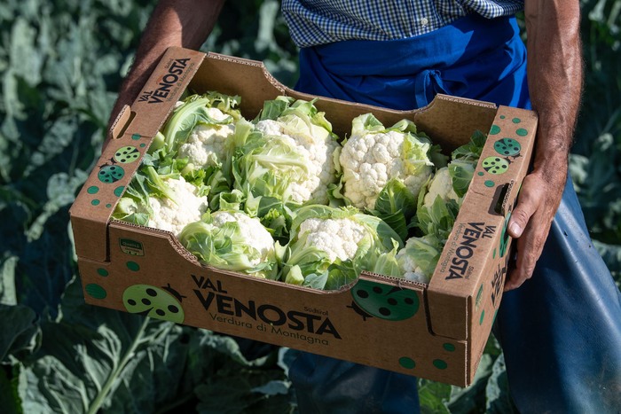 Il Cavolfiore Val Venosta2C Re
