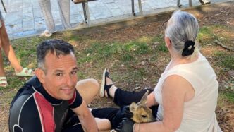 Il Comandante Della Locamare D