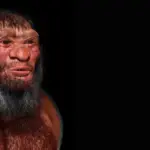 Il Cranio Gigante Rinvenuto A Harbin Appartiene Ai Denisoviani, Un Antico Parente Dell’uomo