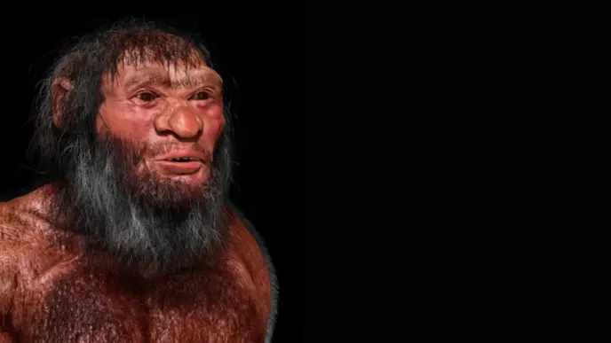 Il Cranio Gigante Rinvenuto A