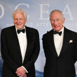 Il Documentario Di David Attenborough Svela Le Meraviglie E Le Minacce Degli Oceani Su Disney+