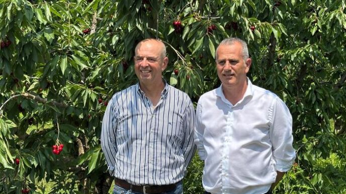 Il Gruppo Alegra E Agrintesa G
