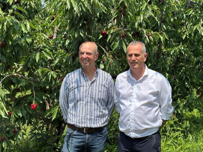 Il Gruppo Alegra E Agrintesa G