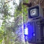 Il Parco Naturale Adamello Brenta Testa Dissuasori Acustici Luminosi Contro Orsi E Lupi Nelle Malghe