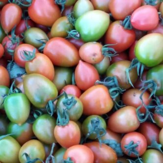 Il Pomodoro Buttiglieddru Di L
