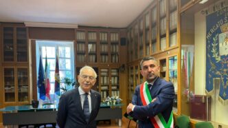 Il Presidente Della Corte Cost