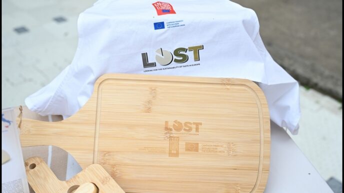 Il Progetto Lost Eu Porta I Fo