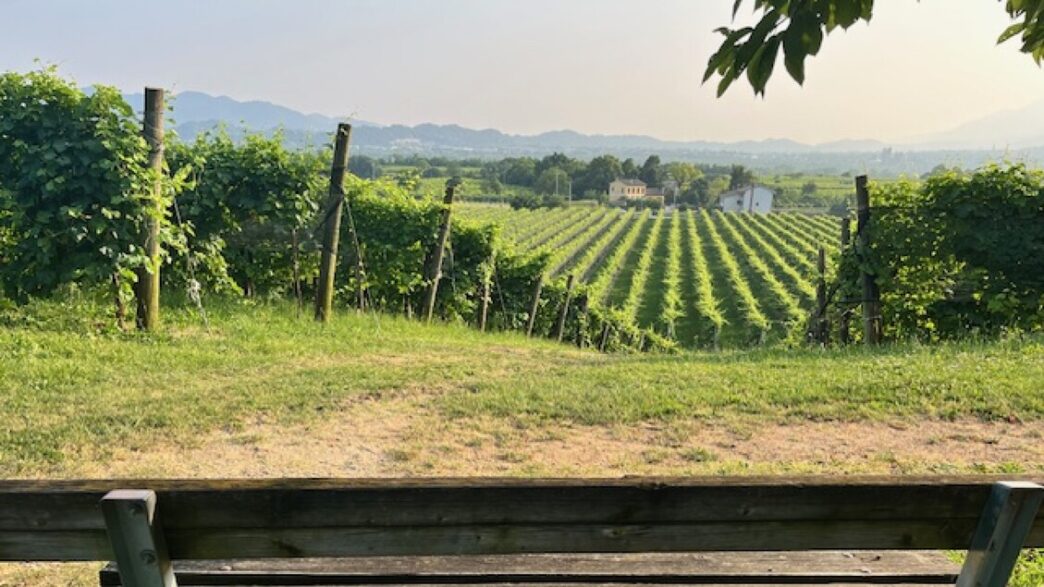 Il Prosecco Conquista La Franc