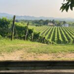 Il Prosecco Conquista La Francia: Oltre La Metà Dei Francesi Ha Consumato Le Bollicine Italiane Nell’ultimo Anno