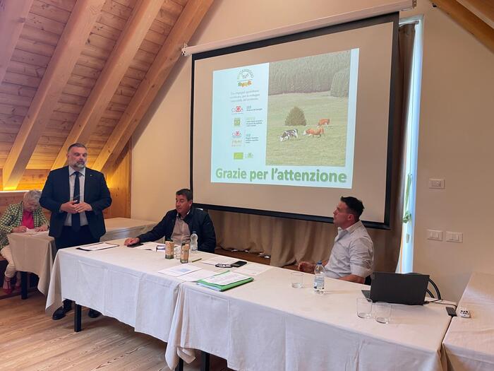 Il Settore Lattiero Caseario I