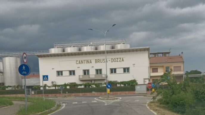 Il Tribunale Di Bologna Apre L