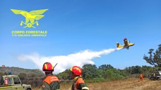 Incendi Boschivi In Sardegna3A
