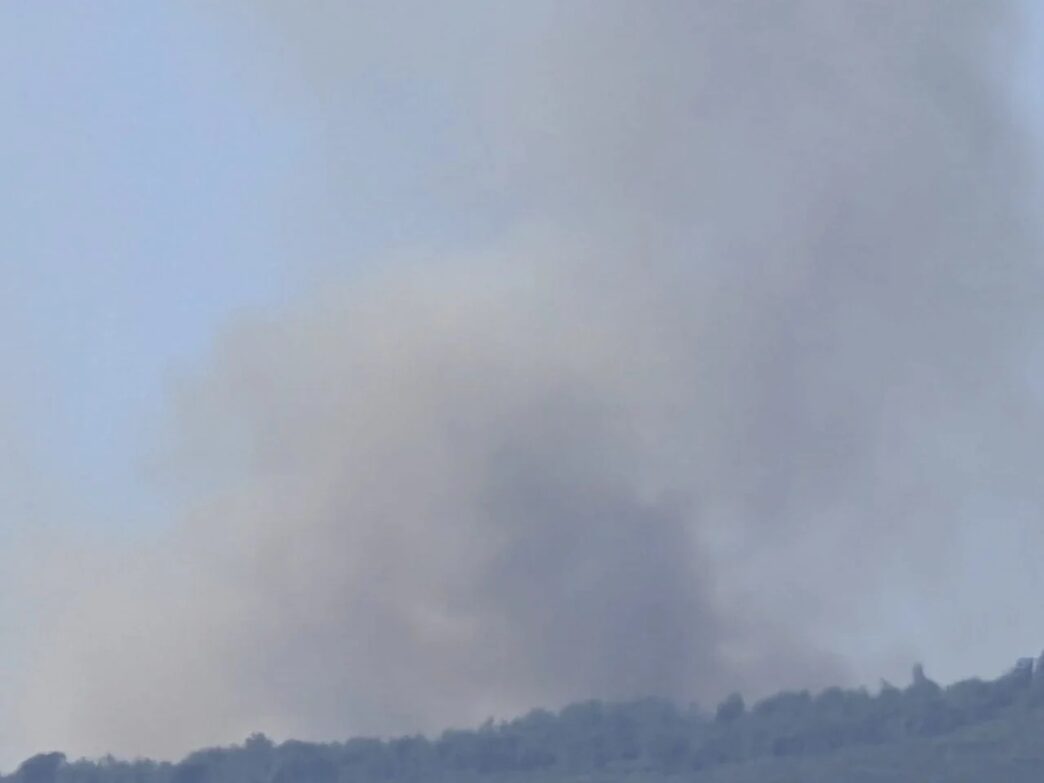 Incendio Boschivo A Torre Del