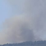 Incendio Boschivo A Torre Del Greco Tra Via Pisani E Via Cappella: Interventi E Prevenzione Sul Vesuvio