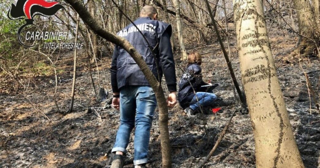 Incendio Boschivo A Baldissero