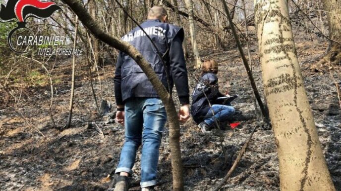 Incendio Boschivo A Baldissero