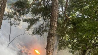 Incendio Boschivo Sul Colle A