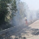 Incendio Di Sterpaglie E Area Boschiva A Cerveteri, In Corso Le Operazioni Di Spegnimento In Via Di San Paolo