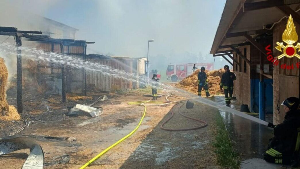 Incendio In Un Maneggio Di Imo