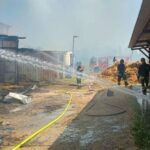 Incendio In Un Maneggio Di Imola: Una Persona Intossicata Dal Fumo E Intervento Dei Vigili Del Fuoco