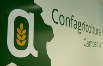 Incertezza Sul Futuro Del Cons
