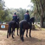 Intensificati I Controlli Dei Carabinieri Del Parco Nazionale Del Circeo Per Tutelare Flora E Fauna