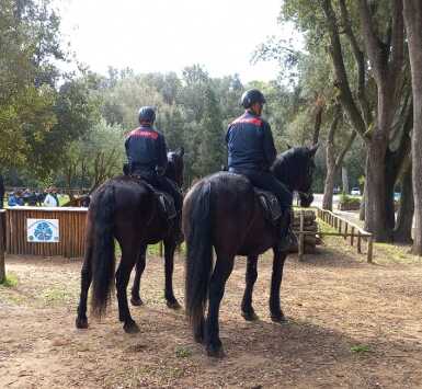 Intensificati I Controlli Dei