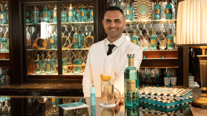 Italian Art Of Italicus Aperit