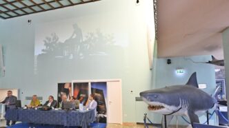Kimbo Presenta Sapiente2C La Pr