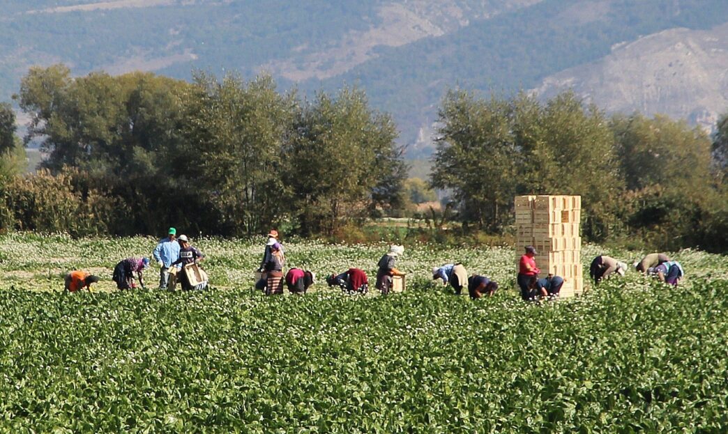 Le28099Abruzzo Vieta Il Lavoro Al S