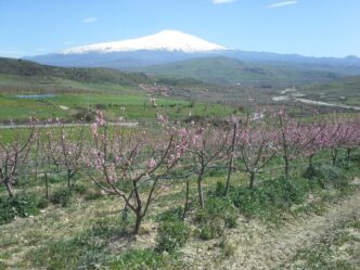 Le28099Azienda Verde Agricolo A Man