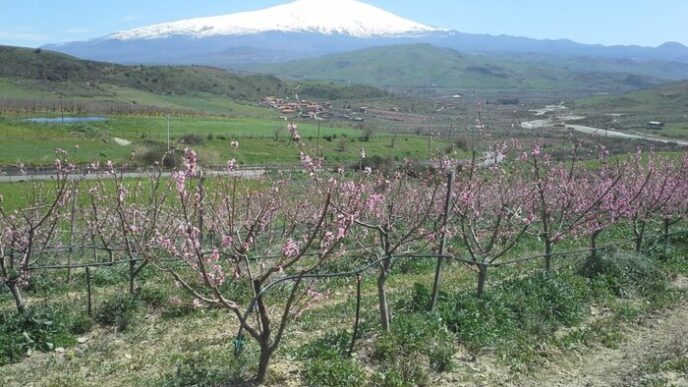 Le28099Azienda Verde Agricolo A Man