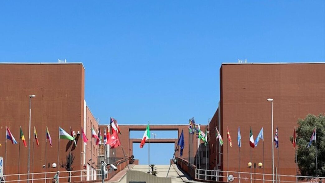 Le28099Universitc3A0 Della Calabria La