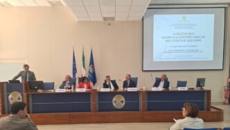 La Calabria Tra Servizi E Norm